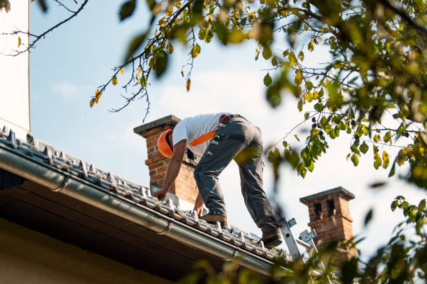 Best Chimney Flashing Repair  in Red Bank, TN